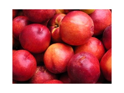 蜜桔 丑橘 脐橙 甜橙 芦柑 柚子.苹果图1