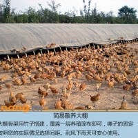 供应便携式<span class=