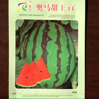 供应奥马甜王14—西瓜种子