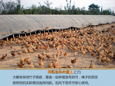 供应便携式养殖篷布图1