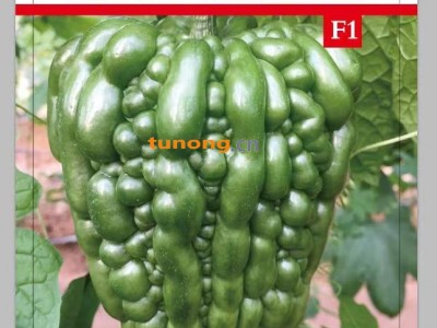 供应乐惠大顶图1