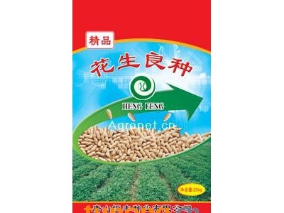 供应唐8252——花生种子图1