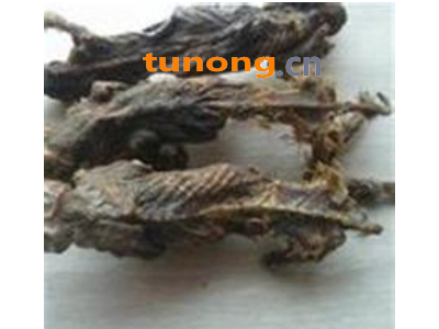 供应中药材塞隆骨、赛龙骨、地羊骨图1