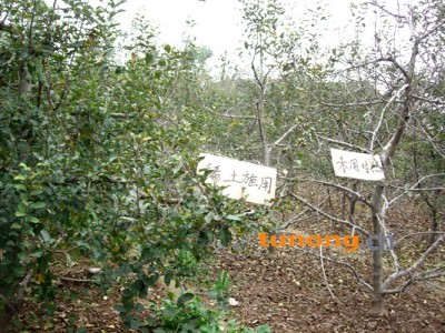 供应稀土营养叶面肥图1