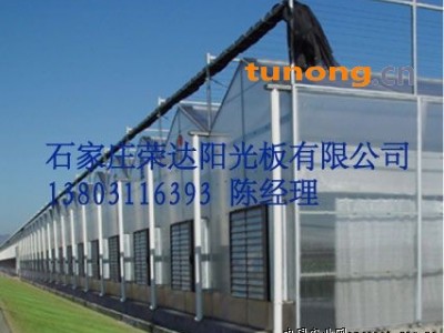 供应石家庄阳光板图1