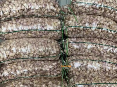 原产地大蒜供应图1