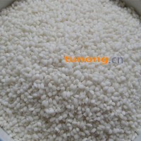 供应糯米 Tel:13966065111