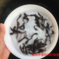 湖南益阳黄辣丁<span class=