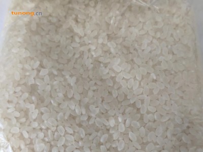 珍珠米、圆粒米、寿司米图1