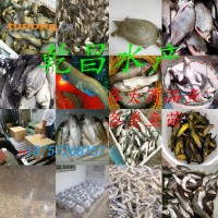 【路亚翘嘴】一斤三四条  一斤15-20条 不同规格都有 18757268157