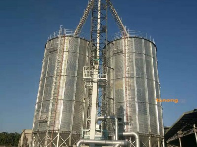 大米加工厂粮食钢板仓图1