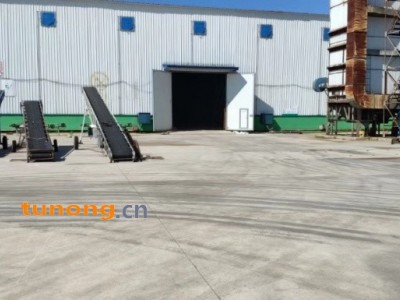 长粒香水稻出售图1