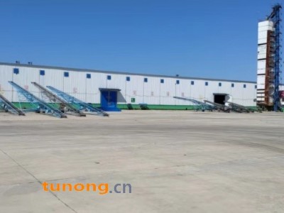 优质水稻出售图1