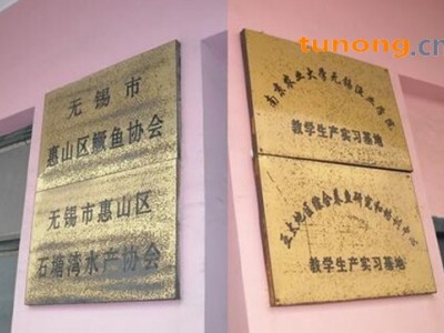 供应青鱼鱼种等优质抗病鱼种图1