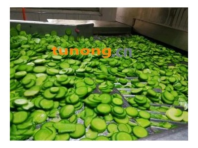 正宗潍县萝卜产地行情好价格便宜了图1