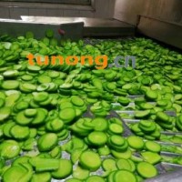 正宗潍县萝卜产地行情好价格便宜了