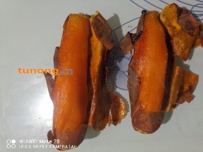 蜜薯电烤烟薯图1