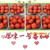 原味1号番茄，酸酸甜甜儿时的味道。