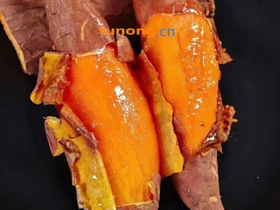 青岛市黄岛区纯正沙地红薯，西瓜红烟薯25图1