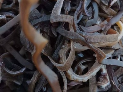 江苏木耳丝。产地直供，欢迎咨询图1