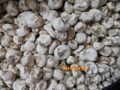 珍珠马蹄干货，脱水珍珠马蹄，珍珠马蹄干制品生晒品图1