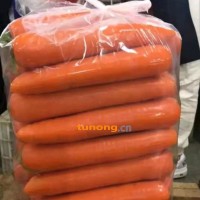 胡萝卜大量上市，欢迎各大老板前来选购