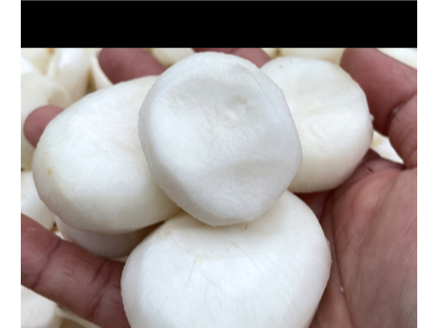 白马蹄削皮马蹄去皮马蹄优质马蹄肉荔浦马蹄图1