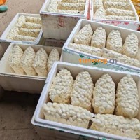 真空包装<span class=