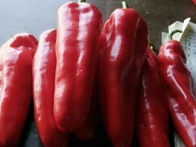 【辣椒】精品红椒，条形直，个头大，颜色鲜红。可视频看货图1