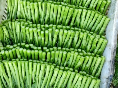 自家基地种植，精品尖叶菜心图1