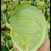 潍坊寒亭大量供应<span class=