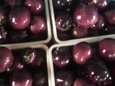 茄子，茄子主产区量大，质量优价格便宜欢迎新老客户前来采购图1