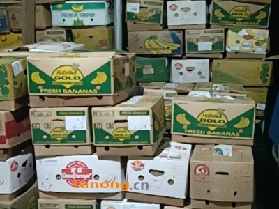 济薯 烟薯 西瓜红 烟薯早丰西瓜红大连瓦房店 量大从优图1