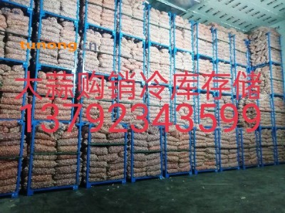 供应大蒜,金乡县川金蒜业图1