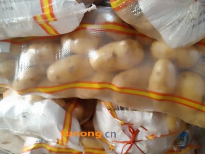 山东荷兰十五土豆大量出售4两起步大货产地冷库代发图1