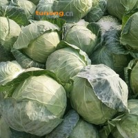 福建漳浦<span class=