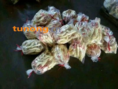 山东生姜,鲜姜,老姜,姜种姜母姜巴常年外调图1