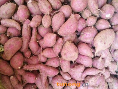 越南紫薯紫心 2两以上 产地直供 一手货源 现摘现发图1