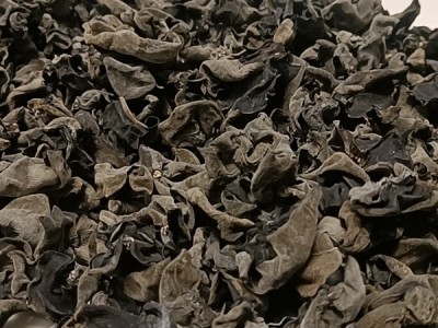 大兴安岭秋木耳，元宝木耳图1