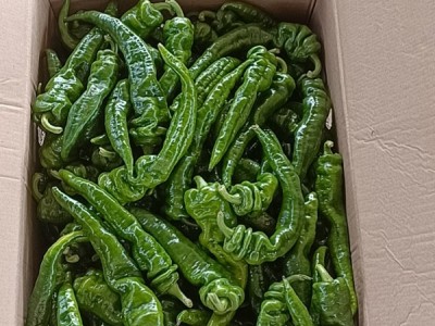 各种辣椒,品种齐全,需要市场,电商,工厂货的预定图1