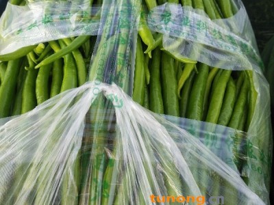 孟定镇现冬季蔬,主要已辣椒,无筋豆,扁豆等各种蔬菜图1