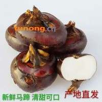 【有好货】荸荠<span class=
