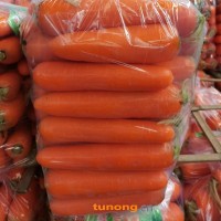 三红胡萝卜，杂交种胡萝卜，水洗精品，土货，半苗，产地直供