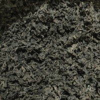 纯天然野生免洗地皮菜，鲜嫩可口。