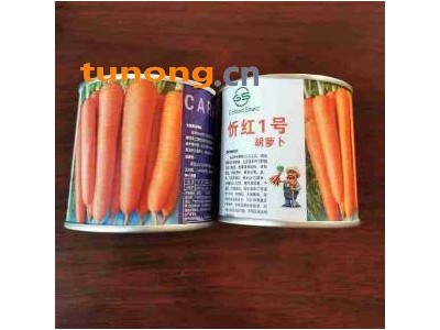 ​日本爱木忻红1号胡萝卜种子​图1