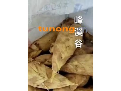 安徽广德茅田冬笋:产地直销图1