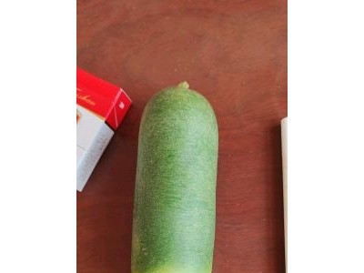 山东肥城大量供应里外青萝卜，水果萝卜图1