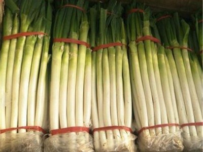 山东费县大葱产地批发大葱大掉价图1