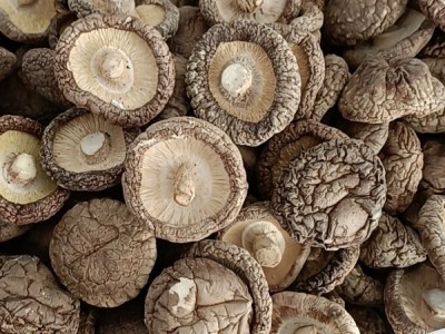 河南省泌阳县香菇干货 各种规格香菇茶花菇白花菇图1