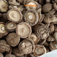 河南省泌阳县香菇干货 各种规格香菇茶花菇白花菇